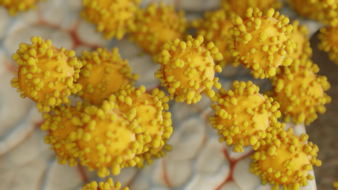 Page-Hero-schutz_vor_coronavirus-covid19